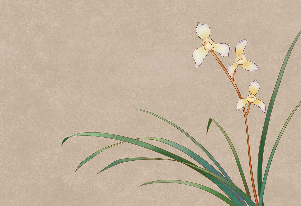 国风工笔画花卉紫藤花兰花虞美人