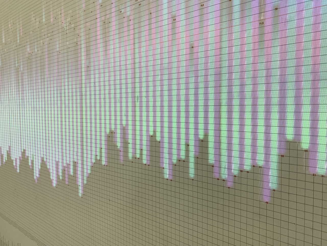 生命2.0-赵璐 张儒赫 赵雨诺 张馨予 郑子晰