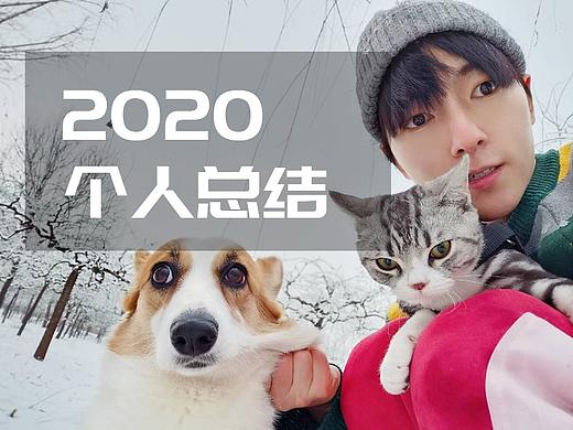2020商业项目总结