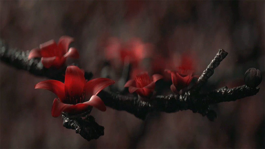 孤勇x雄狮-三维短片（图ZMjkzMzE4MzM2） - 动画/影视 - 站酷设计师Doze_原创素材 - 站酷ZCOOL