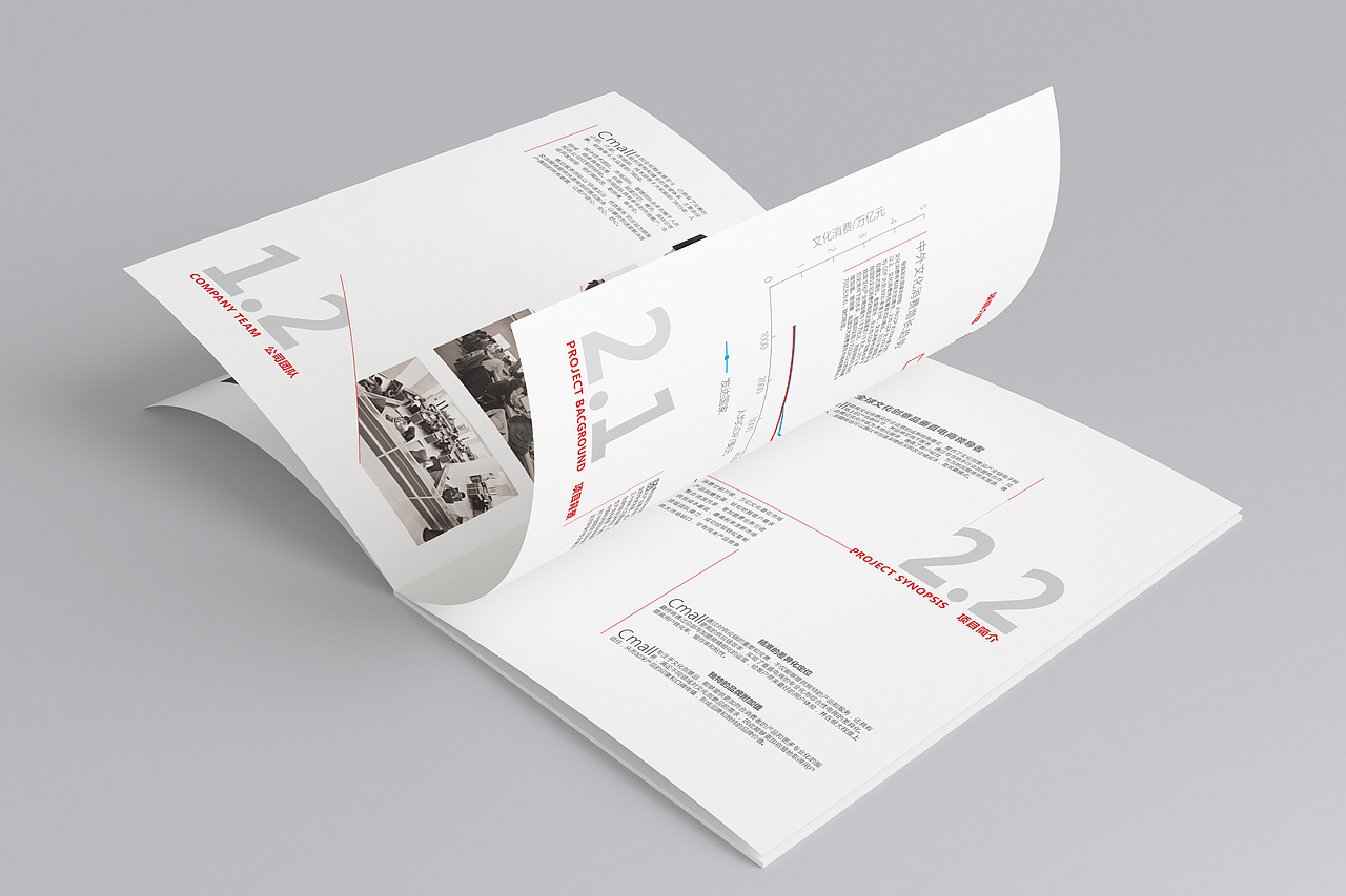 画册丨cmall.com艺术衍生品公司招商手册