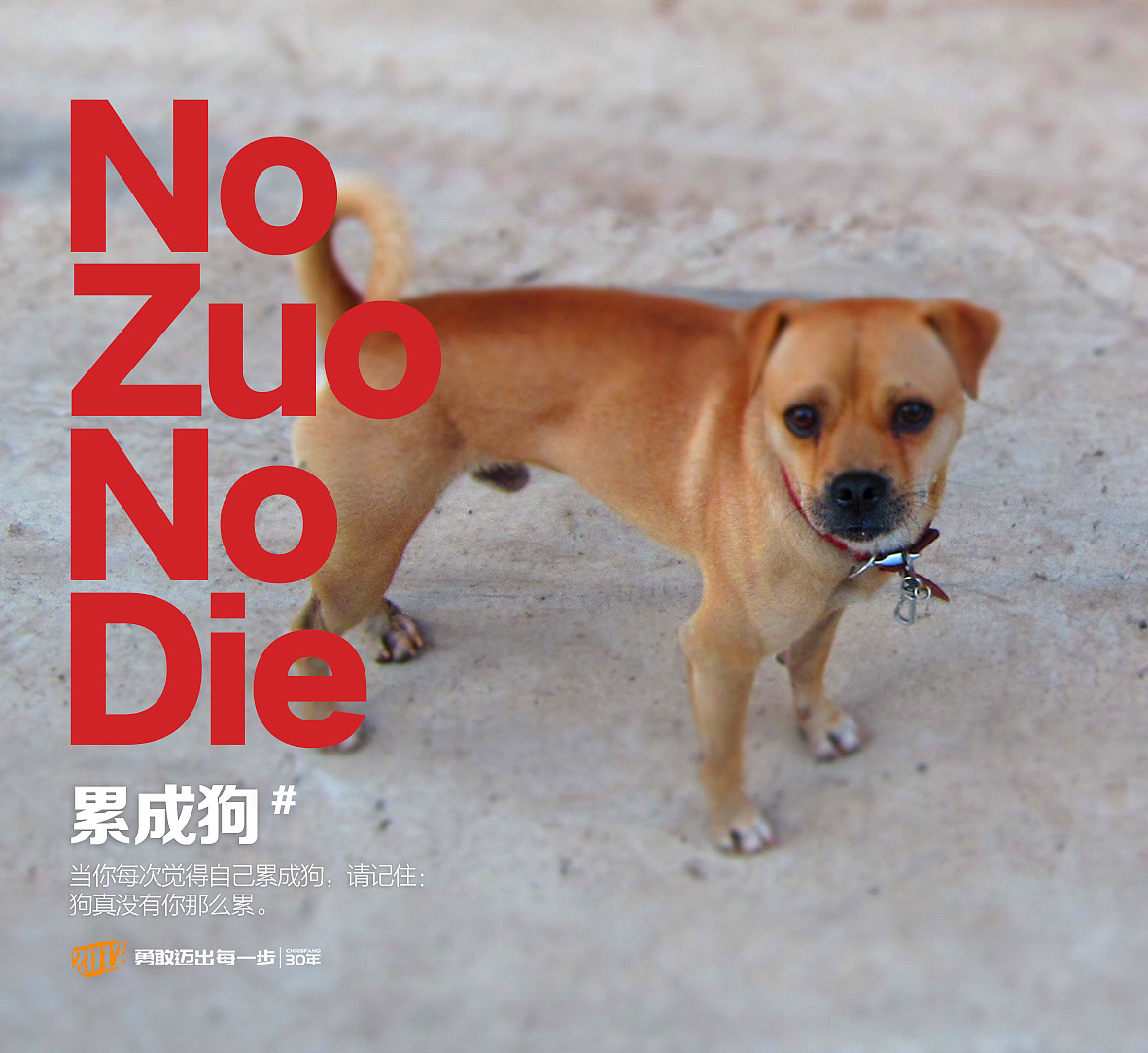 NO ZUO NO DIE|摄影|修图/后期|ChrisFANG - 原创作品 - 站酷 (ZCOOL)