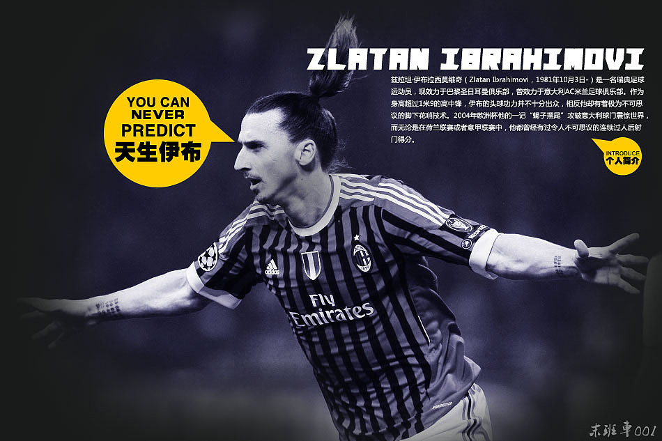 伊布个人介绍海报