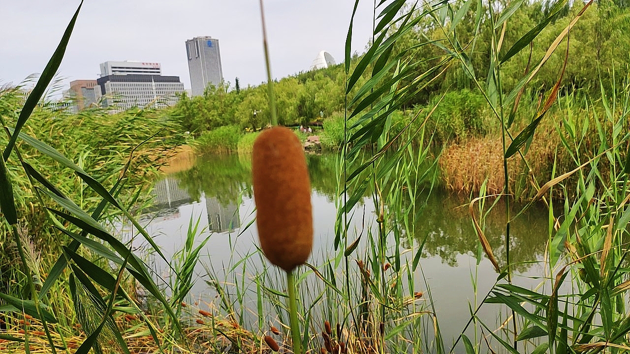 新疆旅行·在路上