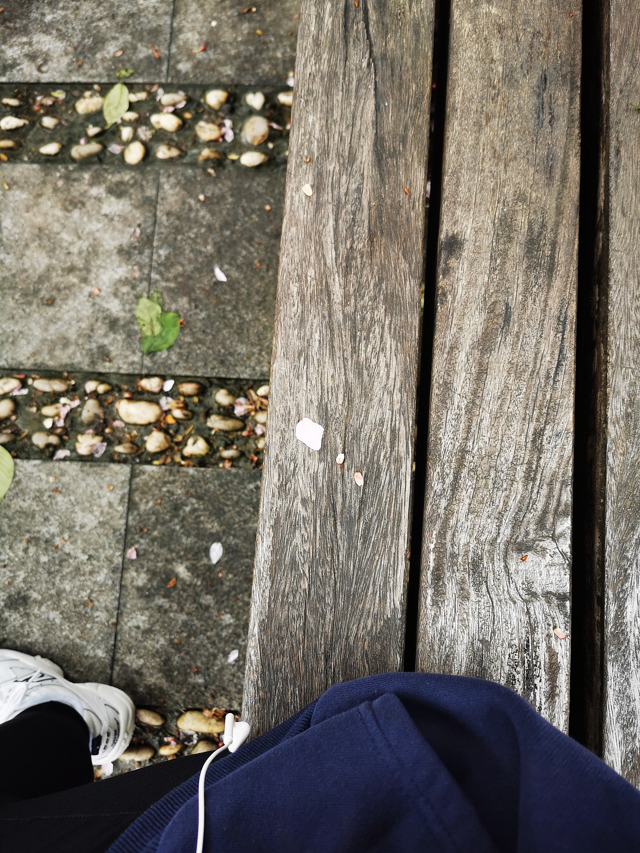 一路繁花（图ZMjQ5NDUzMzk2） - 其他摄影 - 站酷设计师Aprilq原创素材 - 站酷ZCOOL