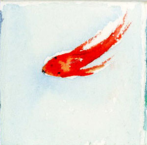 河里小鱼总会让人觉得自由自在