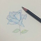吃饺子只吃皮的头像