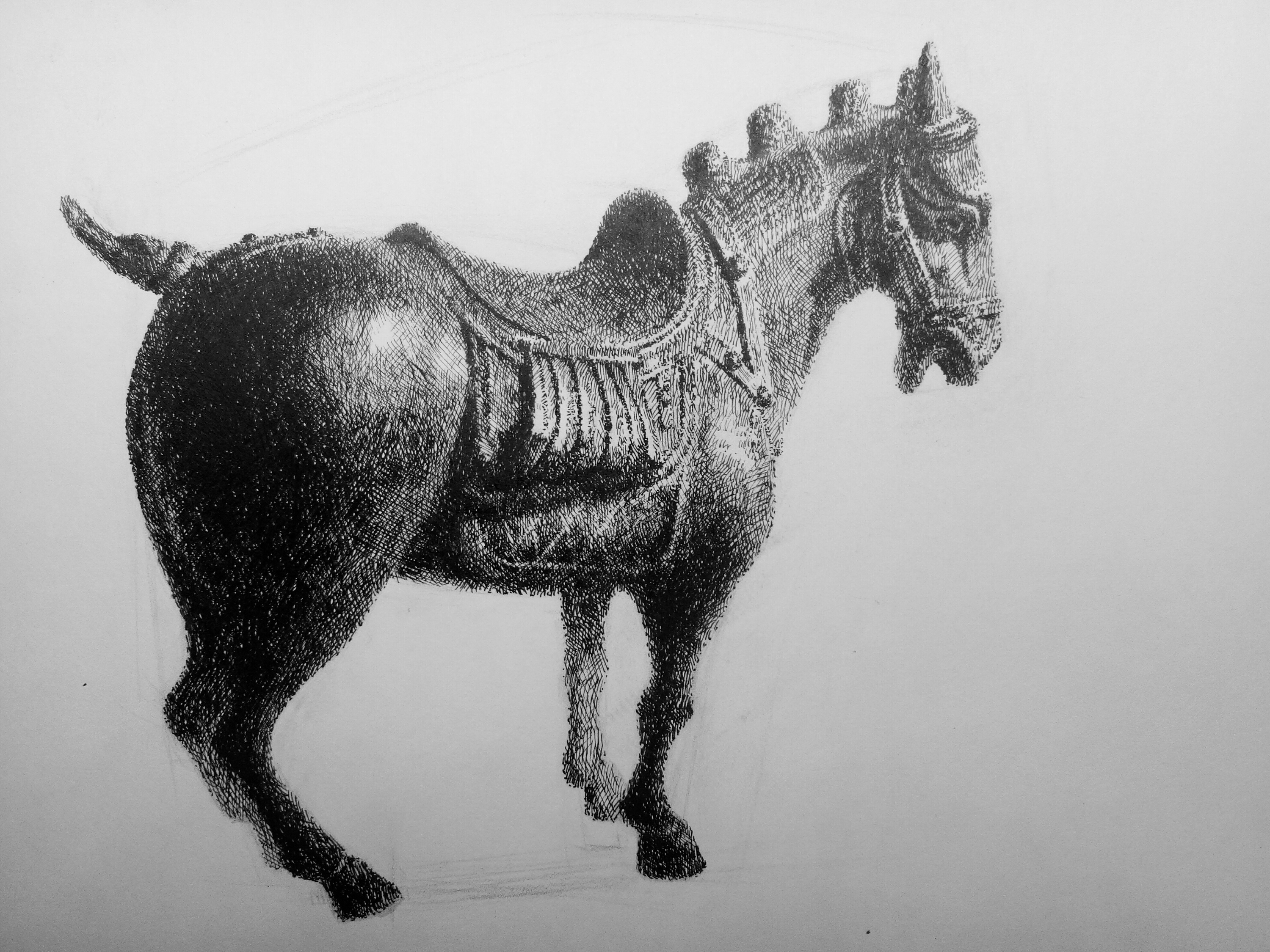 钢笔画古董静物类