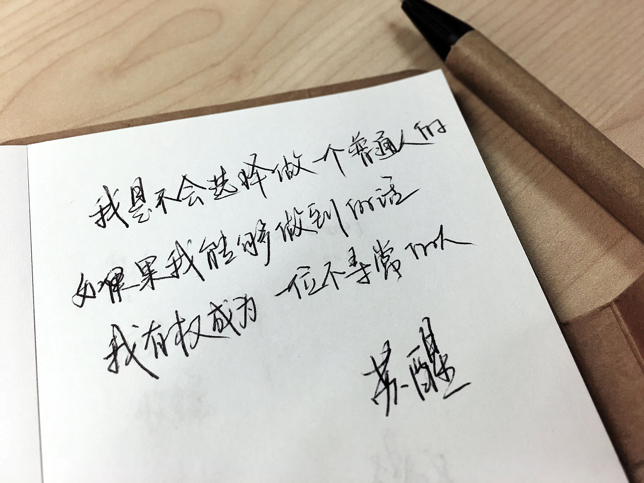 苏醒2017年度影驰工作总结