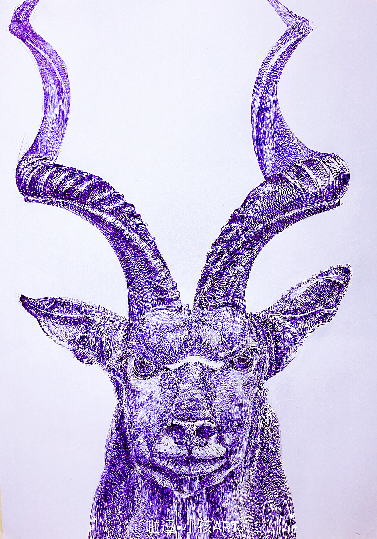 推 荐彩铅~猪猪彩铅羊彩铅~狗