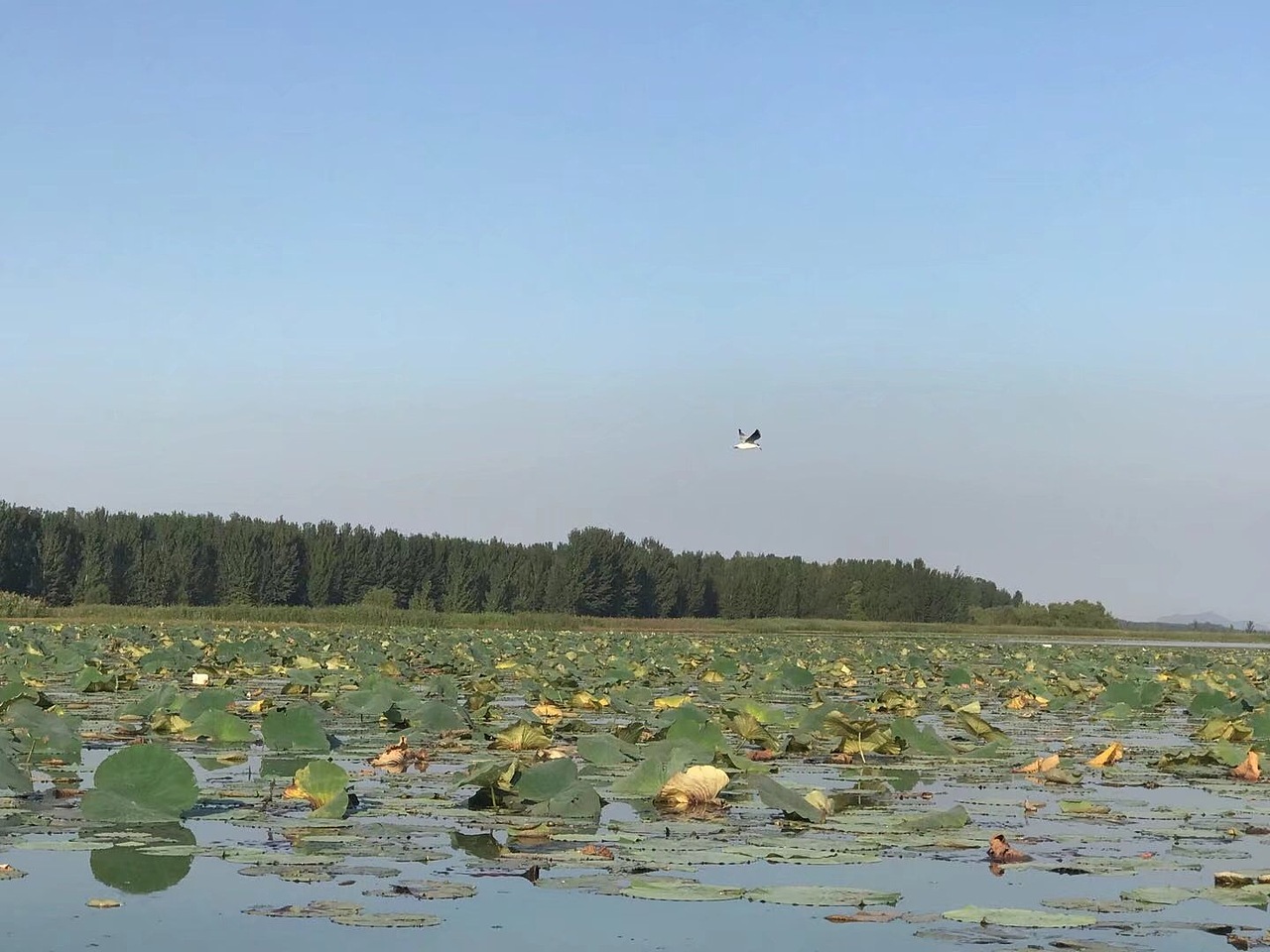 水～（图ZMTA4NzcyMjY0） - 风光摄影 - 站酷设计师悟法禅悦原创素材 - 站酷ZCOOL