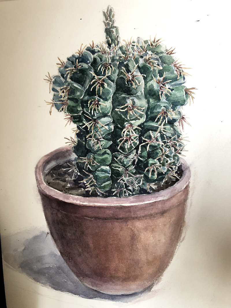 一个水彩仙人球