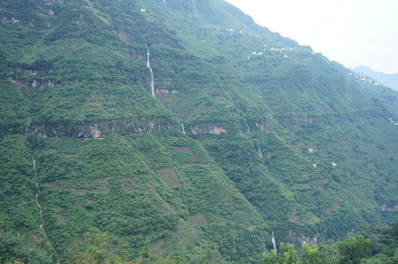 云南满泽花椒 昭通炎山麻椒 青椒