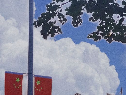 日常随手拍