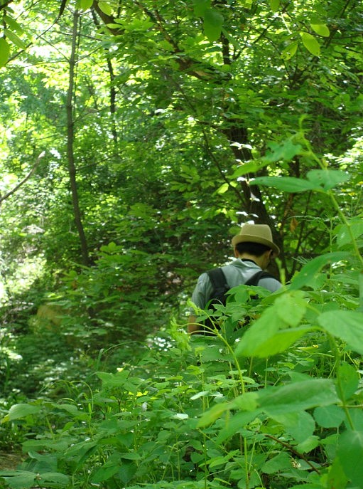 避开周末高峰期
今天(周一)去了嘉午台<br>游人少了 感觉整个大山都是你的<br><br>麦香时节 淡淡的麦香加上阳光的味道<br>这就是仲夏的味道吧<br><br>