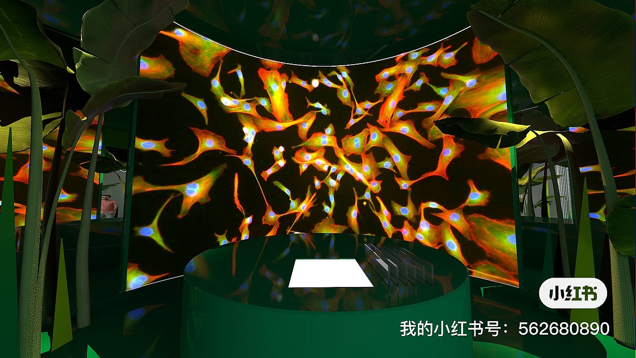 安利纽崔莱展