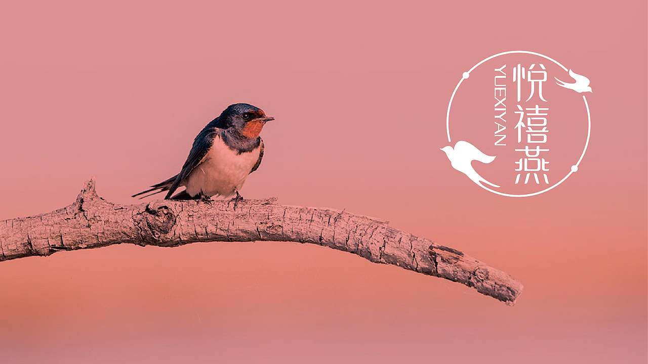 简杰设计│悦禧燕燕窝LOGO设计提案│标识标志设计（图ZNzkzNDcwOTI=） - Logo - 站酷设计师简杰设计原创素材 - 站酷ZCOOL