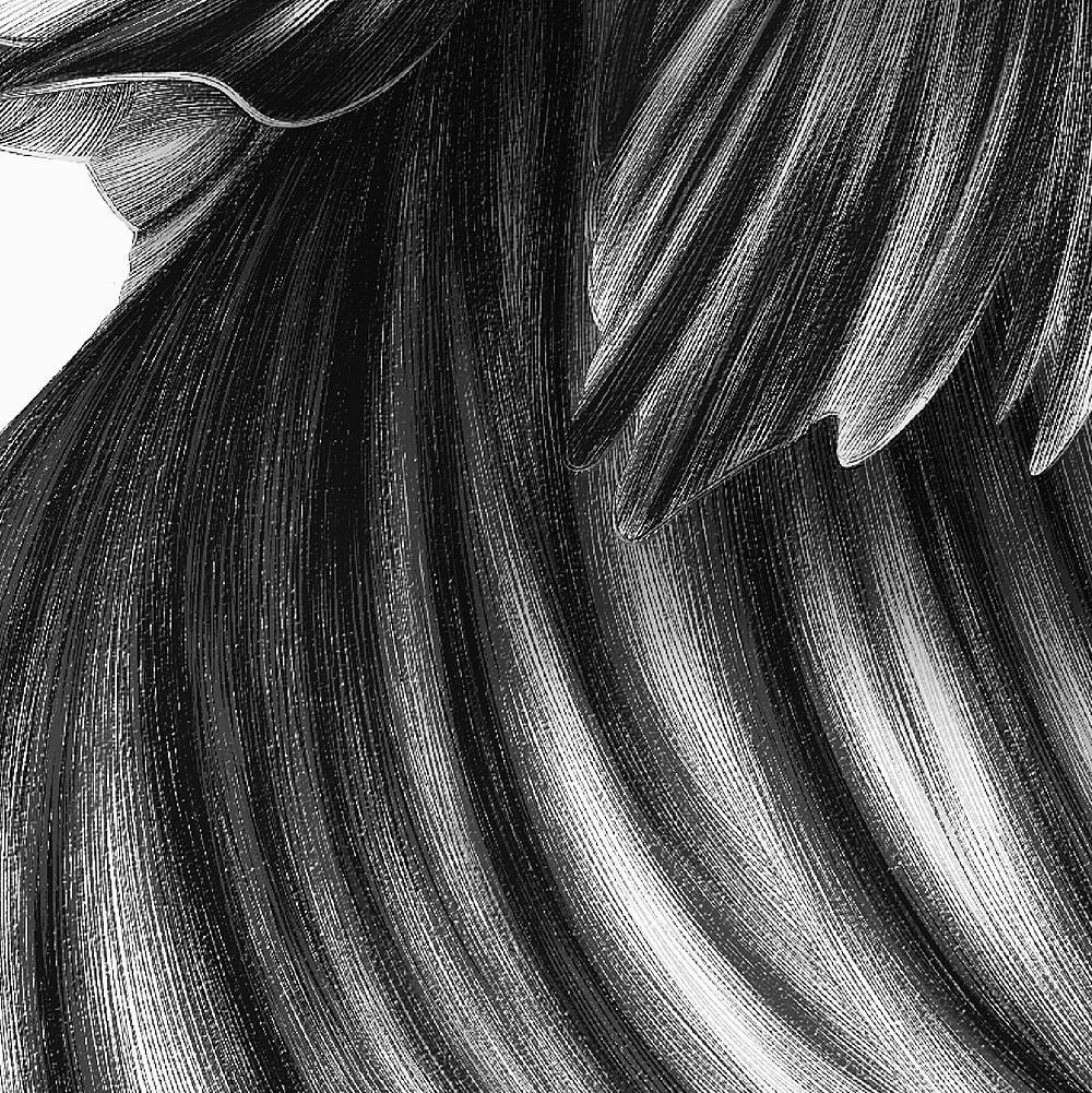 浮生若梦 | 原创手绘桑蚕丝大方巾（图ZMTAxNjY2MDI4） - 商业插画 - 站酷设计师金小生原创素材 - 站酷ZCOOL