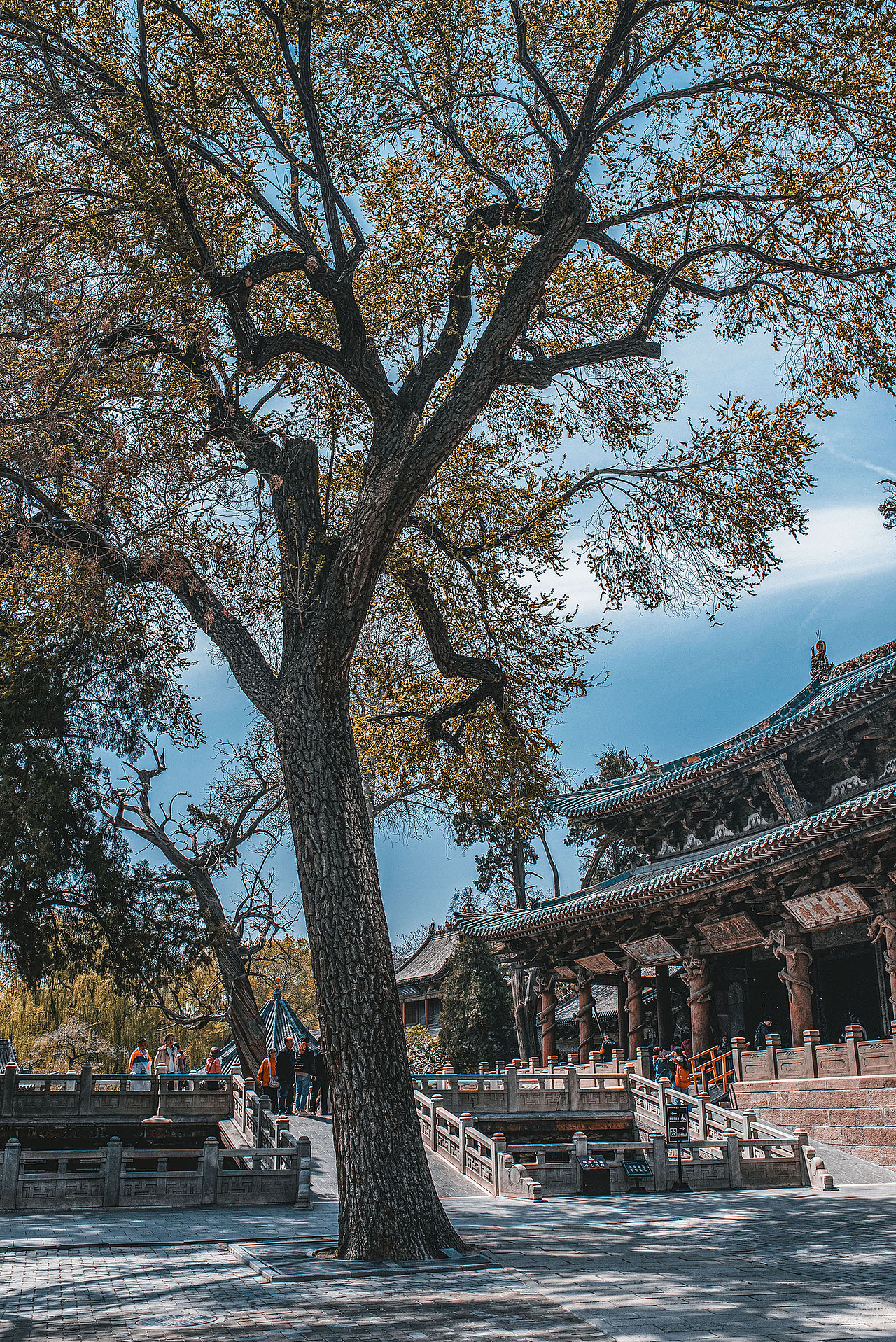 晋祠行（图ZMjUyNDQwOTgw） - 环境/建筑摄影 - 站酷设计师大卫009原创素材 - 站酷ZCOOL