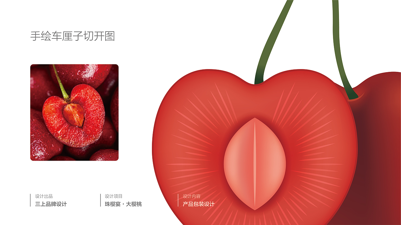 珠樱宴 产品包装设计提案（图ZMjY3OTc4OTcy） - 包装 - 站酷设计师三上品牌设计原创素材 - 站酷ZCOOL