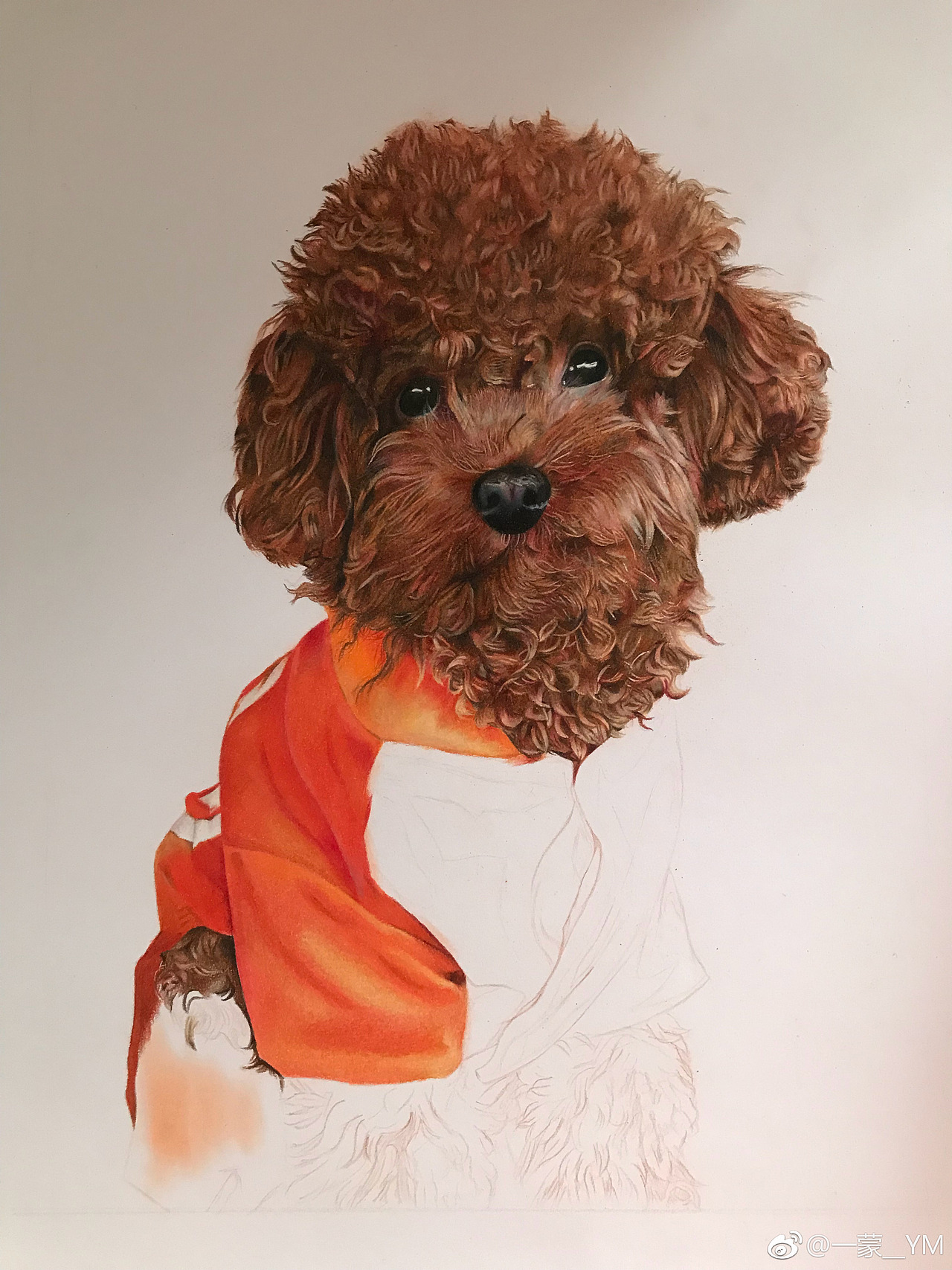 泰迪（图ZMTQxMDczMTg4） - 绘画 - 站酷设计师一蒙原创素材 - 站酷ZCOOL