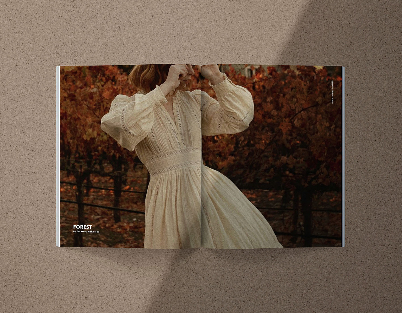 Fawn's Closet 杂志排版设计(概念)