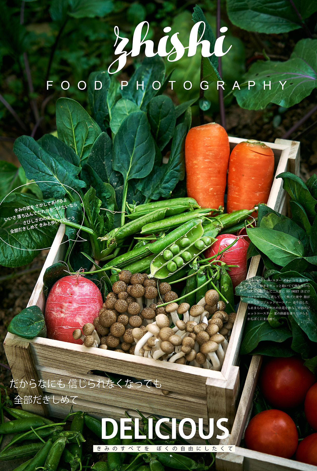 绿色的文案|蔬菜拍摄