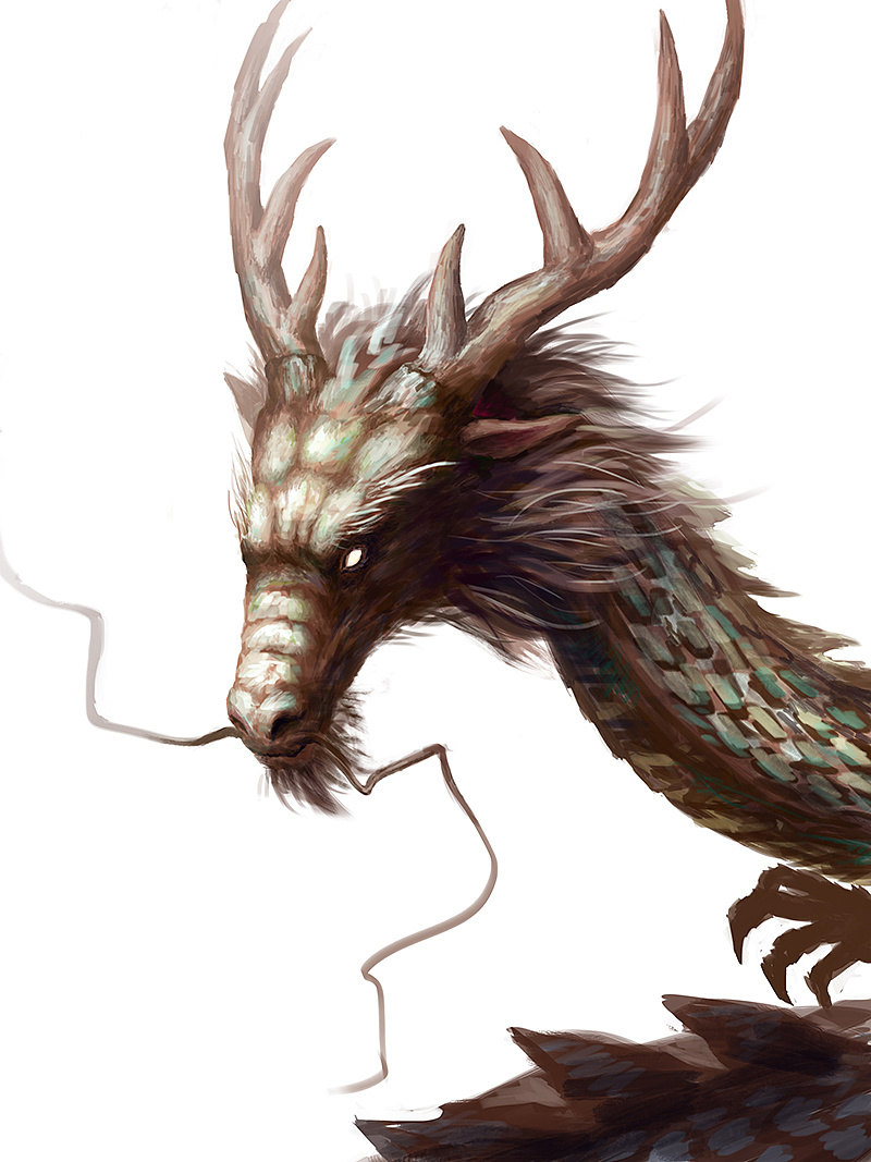 龙的传人|插画|创作习作|丹卿绘 - 原创作品 - 站酷 (zcool)