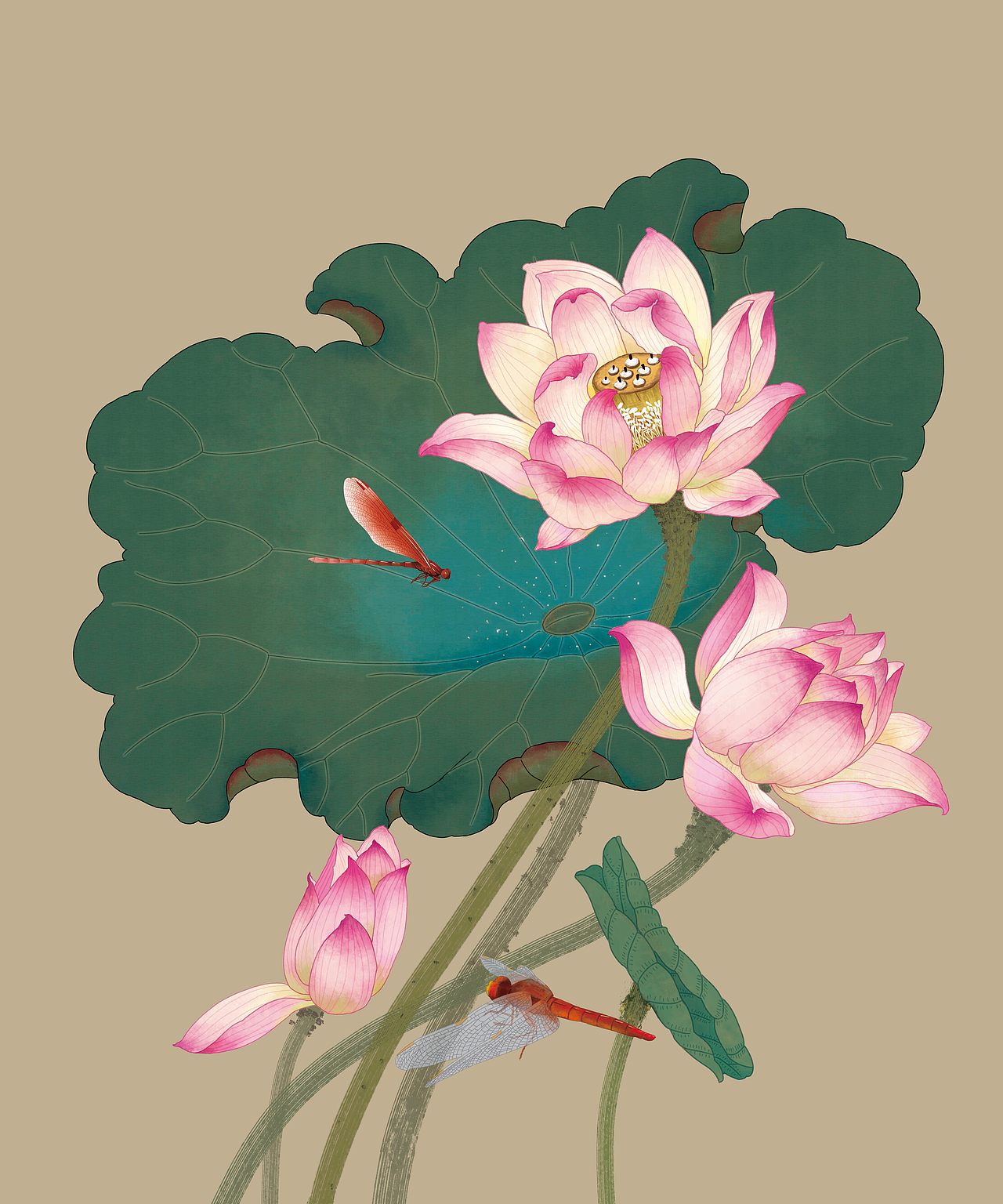 荷（图ZMTI1OTkwMDUy） - 商业插画 - 站酷设计师Z01302634原创素材 - 站酷ZCOOL