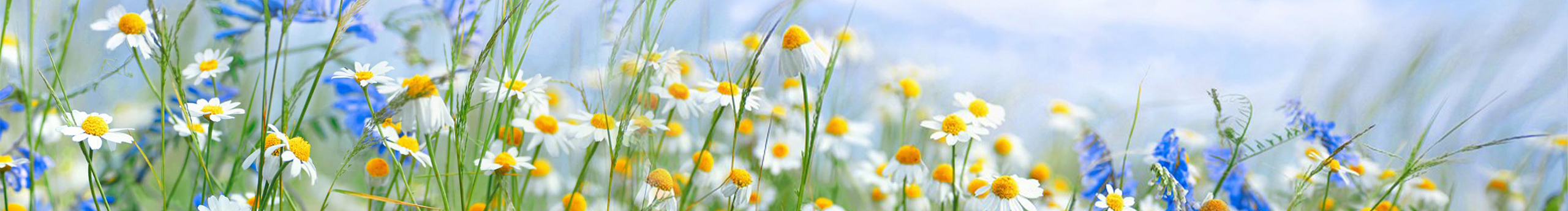 喜歡旅游的姑娘的個(gè)人主頁（封面預(yù)覽） - 主頁封面設(shè)置 - 站酷設(shè)計(jì)師喜歡旅游的姑娘原創(chuàng)素材 - 站酷ZCOOL