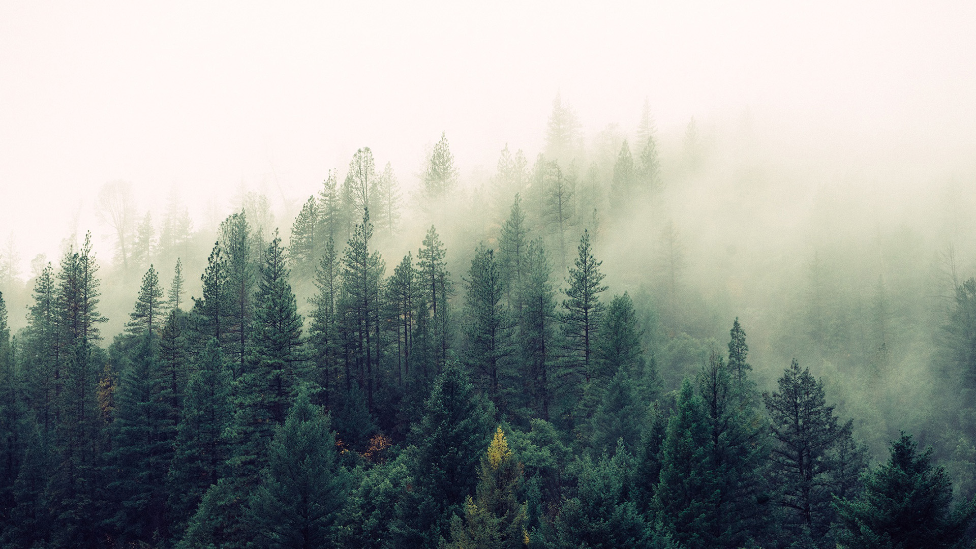 Faquir_的個(gè)人主頁(yè)（封面預(yù)覽） - 主頁(yè)封面設(shè)置 - 站酷設(shè)計(jì)師Faquir_原創(chuàng)素材 - 站酷ZCOOL