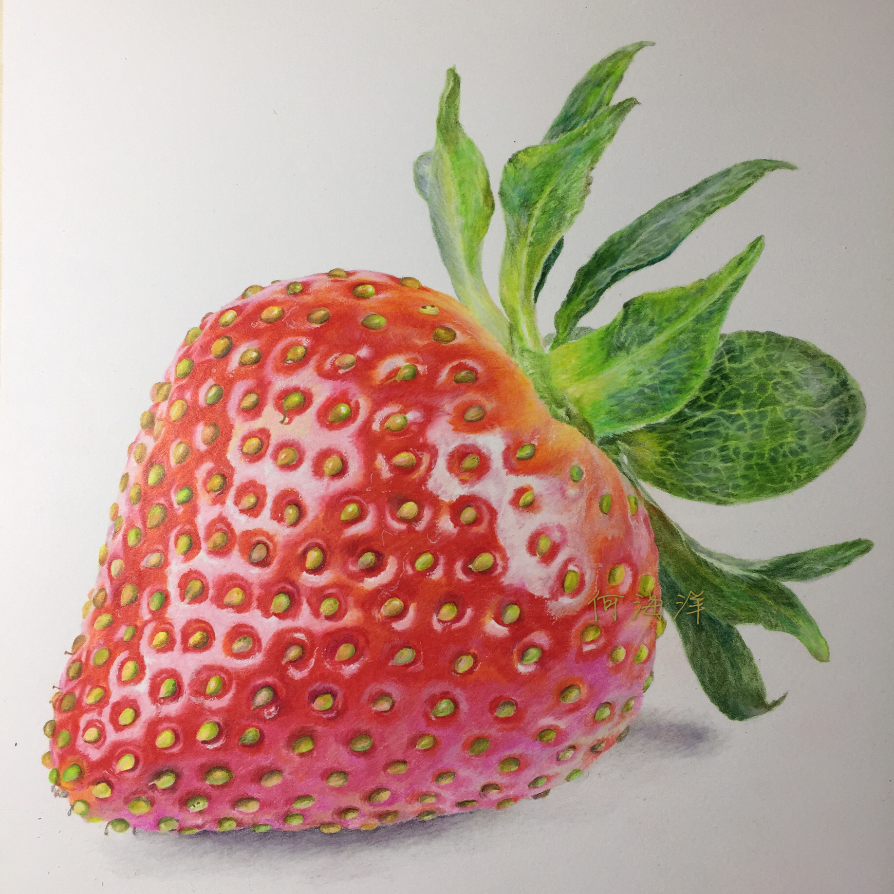草莓水果花叶子图片素材-编号33496651-图行天下