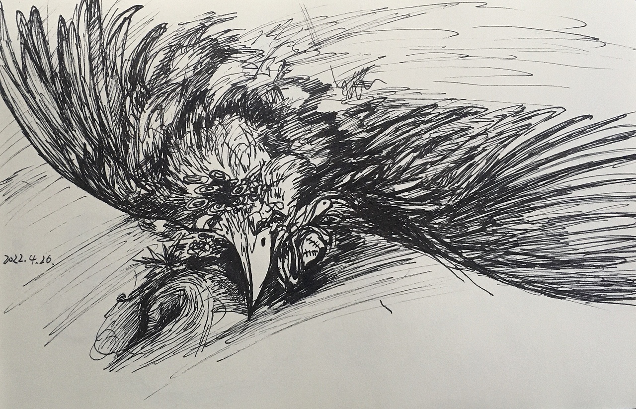 2022年4月25～5月1日