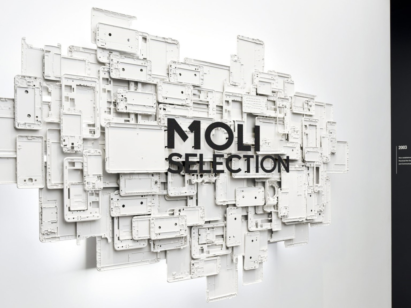MOLI x 壹为弘吉 | Visual Identity