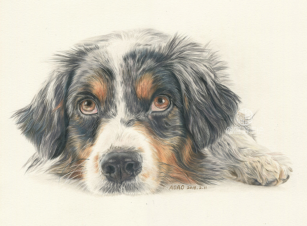 30张汪星人彩铅画-阿沁作品（图ZMTI4ODg4NjYw） - 绘画 - 站酷设计师煜芮原创素材 - 站酷ZCOOL