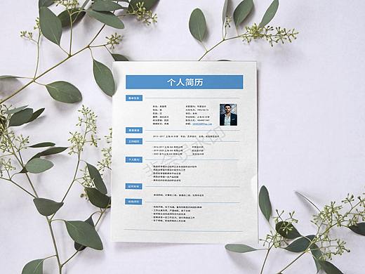 版式设计:简历 简约风