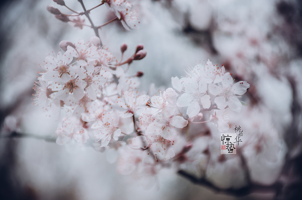 惊蛰（图ZOTYyMTE5ODg=） - 人像摄影 - 站酷设计师空谷客原创素材 - 站酷ZCOOL