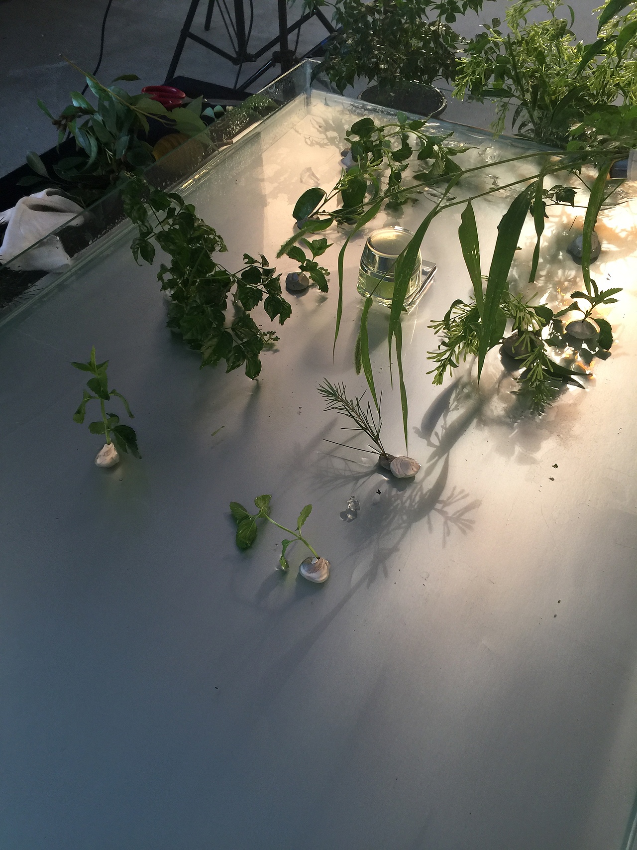 化妆品拍摄花絮