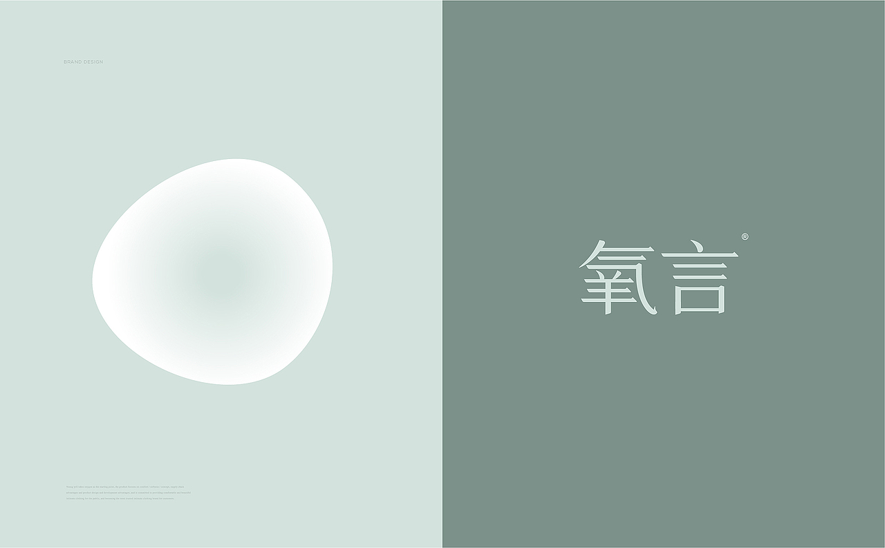 YOUNGYELL 氧言内衣丨ABD案例