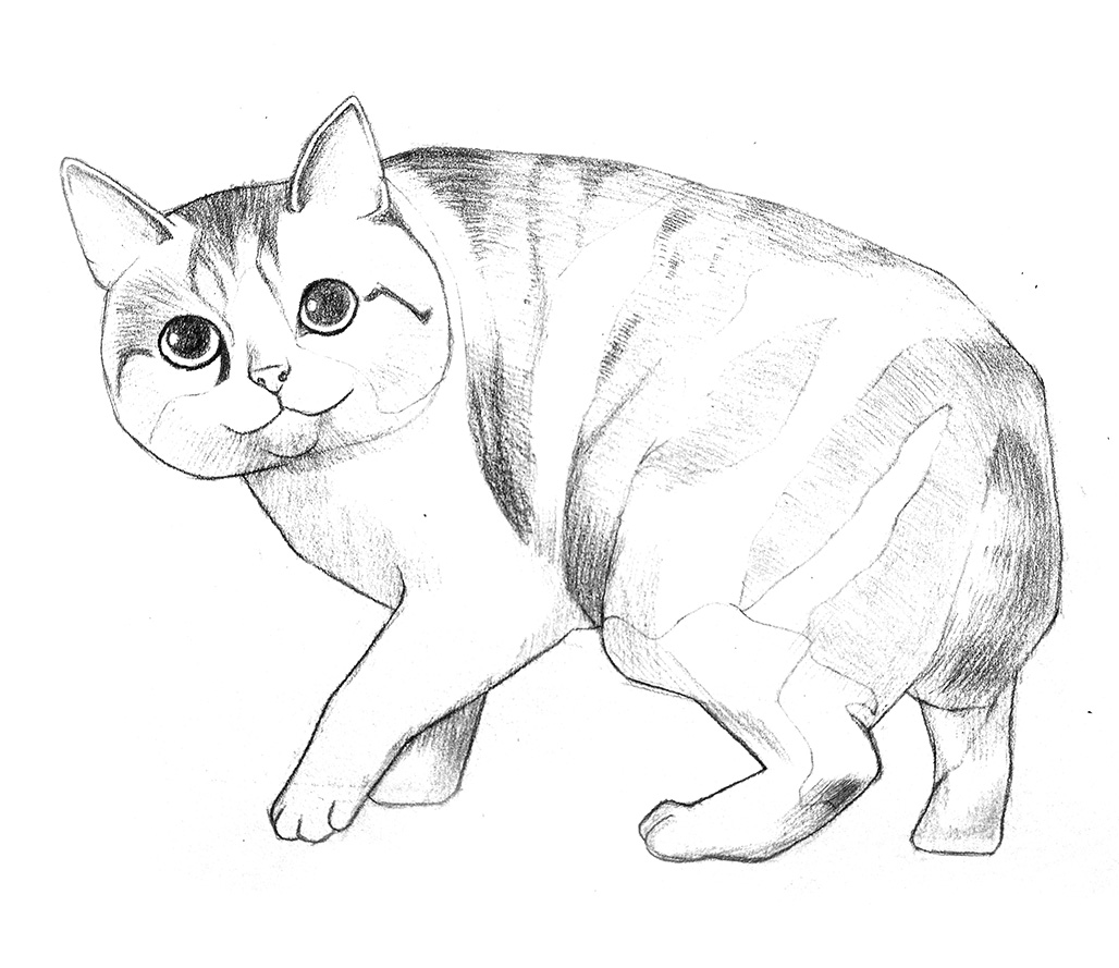 可爱kt猫简笔画教程,绘画图片,儿童文艺-绘艺素材网 0AC