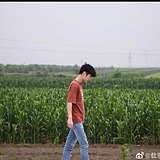 如烟海的头像
