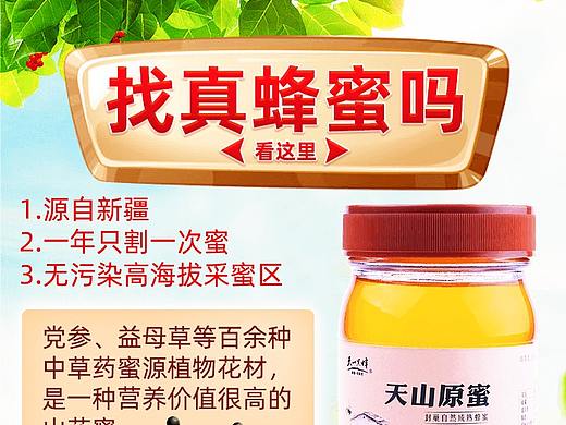 车图(天山黑蜂)