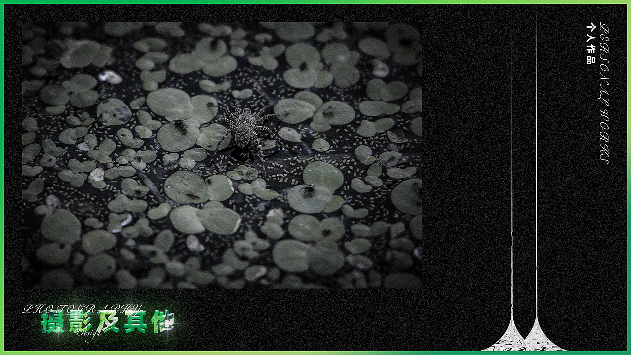 2021面试作品集整理（图ZMjQwNzk1NjYw） - 其他 - 站酷设计师不是扶桑原创素材 - 站酷ZCOOL