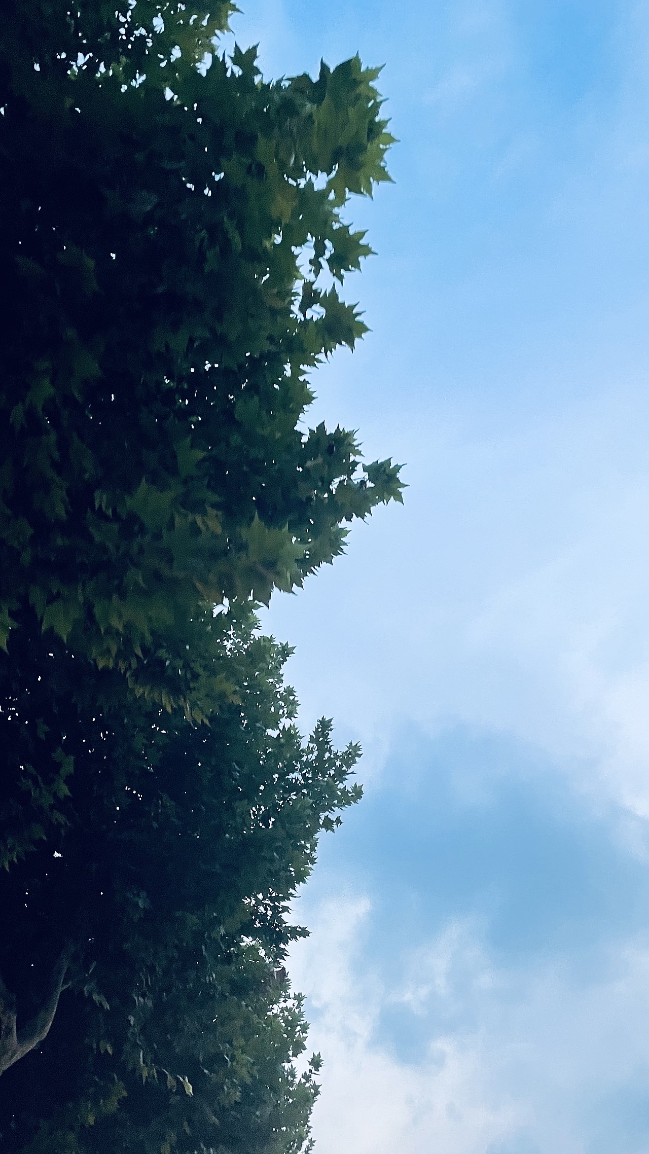 魔都的天（圖ZMzEwMDY2MDg0） - 風(fēng)光攝影 - 站酷設(shè)計師Z34041928原創(chuàng)素材 - 站酷ZCOOL