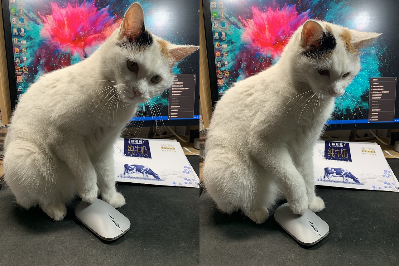 玩鼠标的喵喵小公举