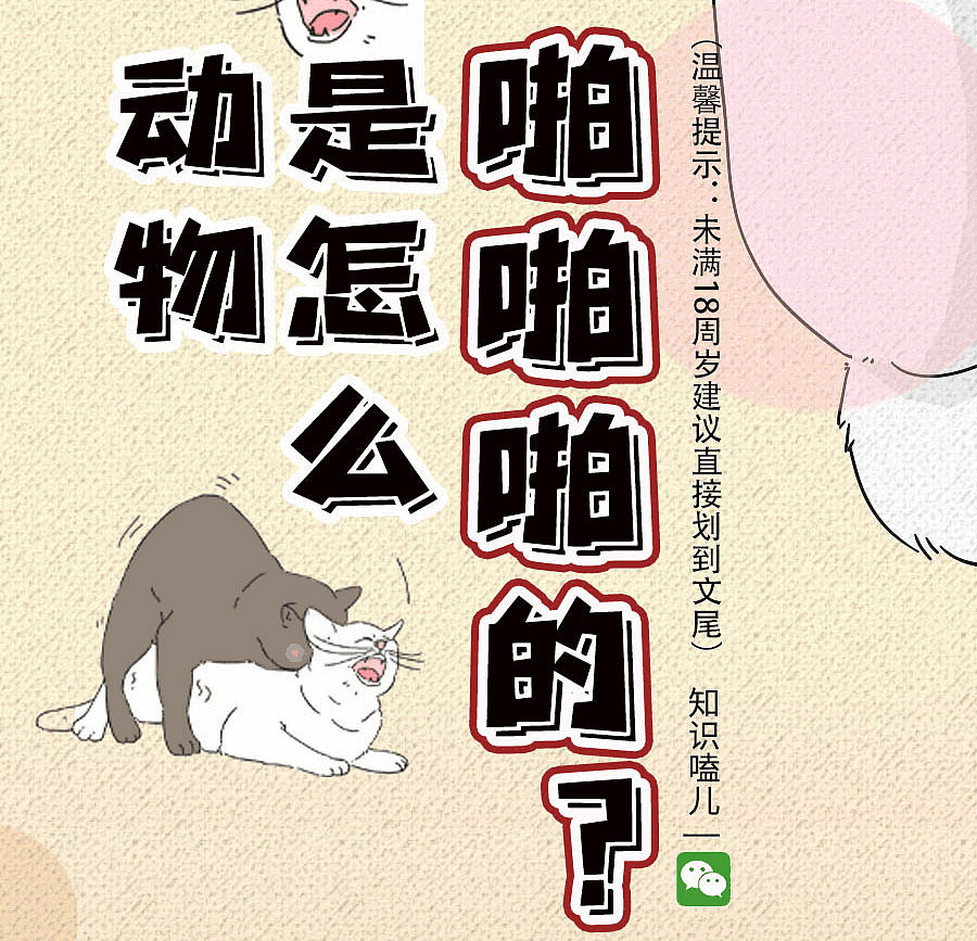 那些羞羞的事动物是如何啪啪啪的