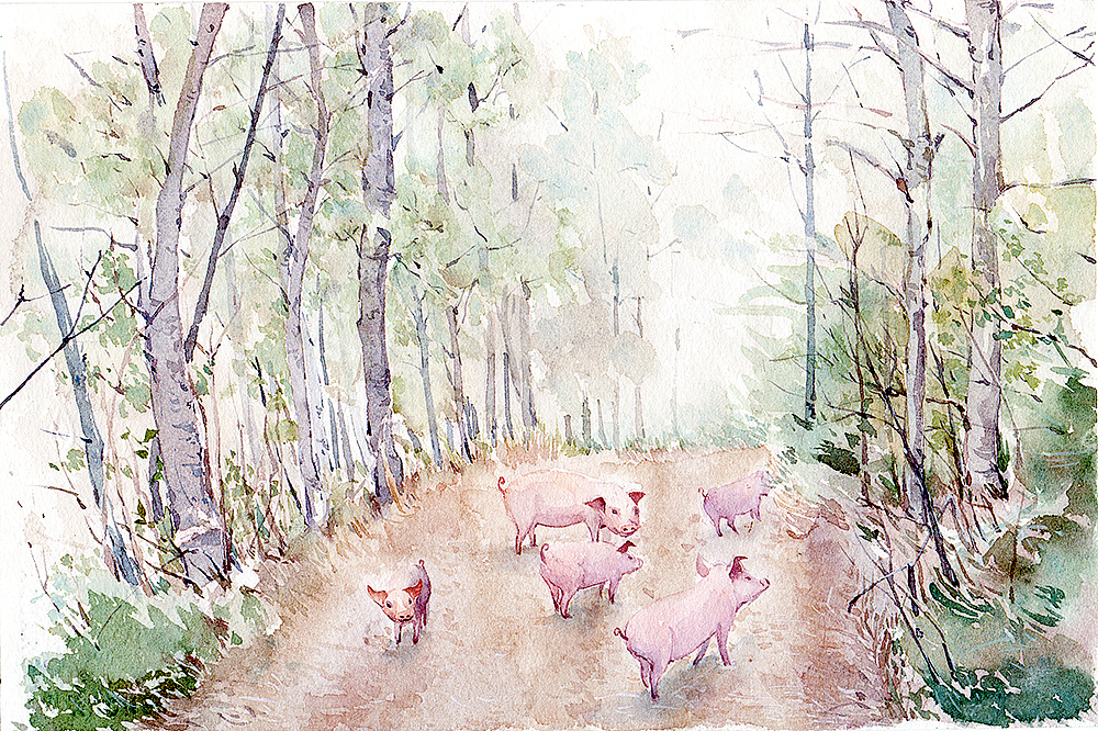木壳人水彩插画合集（图ZMzc5MjQ4MDA=） - 商业插画 - 站酷设计师木壳人原创素材 - 站酷ZCOOL