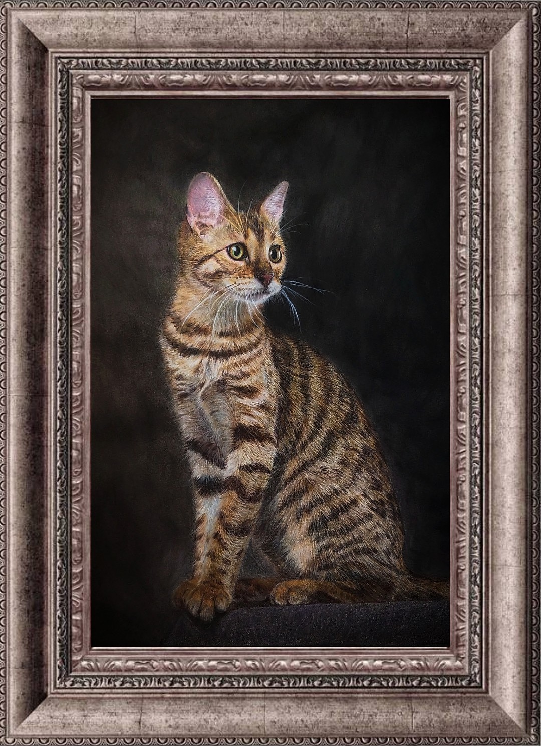 写实彩铅《猫》