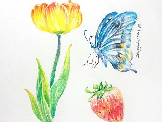 手绘彩铅插画