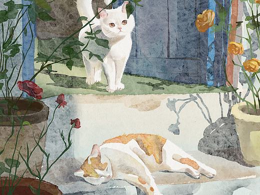 安静的猫咪